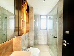 Irwell Hill Residences (D9), Apartment #458602991